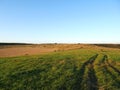 A field of green grass and car tracks on it. Blue sky. A clear summer day Royalty Free Stock Photo