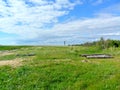 Field with green grass and logs