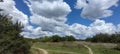 Field with green grass and lush trees with a blue clouded sky in the background Royalty Free Stock Photo