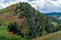 rolling green field of hillside grass and colorado rocky mountains Royalty Free Stock Photo