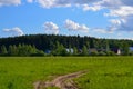 Field of green grass and perfect sky and trees Royalty Free Stock Photo