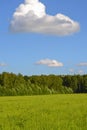 Field of green grass and perfect sky and trees Royalty Free Stock Photo