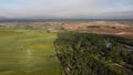 Field green view pond agriculture landscape far grass grain