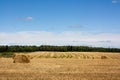 A field after harvest with bales of hay standing in a farmer`s Royalty Free Stock Photo