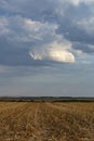 Field after harvest with clouds