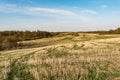 Field after harvest, cut off stalks of cereals and sprouting green grass, blue sky with small clouds, spring time Royalty Free Stock Photo