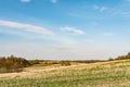 Field after harvest, cut off stalks of cereals and sprouting green grass, blue sky with small clouds, spring time Royalty Free Stock Photo