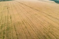 View from above field after harvest. Incredible landscapes and textures. The dug-up strips left by the combines form Royalty Free Stock Photo