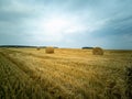 A field with harvested wheat. The concept of harvesting, reaping. Natural background and beautiful natural landscape Royalty Free Stock Photo