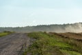 Field after harvesting crops and crops. A dirt road and forest run along the agricultural field. Agro-industrial complex in an Royalty Free Stock Photo