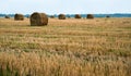 Field after harvesting wheat, haystack