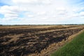 A field that has been burned to clear crop residue.