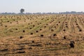 Field with hay Royalty Free Stock Photo