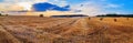 Field with hay bales Royalty Free Stock Photo