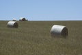 Field Hay Bales, Kings Beach, Fleurieu Peninsula, South Australia Royalty Free Stock Photo