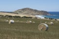 Field Hay Bales, Kings Beach, Fleurieu Peninsula, South Australia Royalty Free Stock Photo