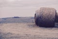 Field with hay bales in Tuscany, Italy. The countryside landscape. Royalty Free Stock Photo