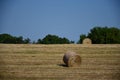 Field with hay bales Royalty Free Stock Photo