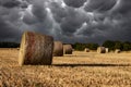 Field with hay bales under stormy sky and rays of light Royalty Free Stock Photo