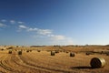 Field of hay, Barossa Valley Royalty Free Stock Photo