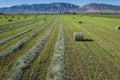 Field of Hay Being Harvested Royalty Free Stock Photo