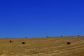 Field of hay lighted by a sunny summer day