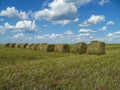 Field and hay rolls