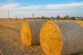 Field with haystacks after the harvest in the village at sunset time.Bereza,Brestskaya district.Belarus. Royalty Free Stock Photo