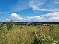 A field with haystacks and a river on  horizon Royalty Free Stock Photo