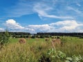 A field with haystacks and a river on  horizon Royalty Free Stock Photo