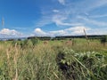 A field with haystacks and a river on  horizon Royalty Free Stock Photo