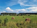 A field with haystacks and a river on  horizon Royalty Free Stock Photo
