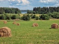 A field with haystacks and a river on  horizon Royalty Free Stock Photo