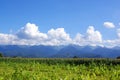 Field, hills mountains, clouds and blue sky