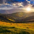 Field on hillside near village at sunset Royalty Free Stock Photo