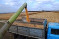 From the hopper of the combine, the grain is pulled down into th