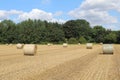 A field on a hot summer`s day with round hay bales waiting to be harvested with bright blue sky and white clouds in the sky