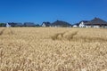 Field and houses in Poland Royalty Free Stock Photo