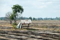 Field hut mountain and sky in countryside Royalty Free Stock Photo