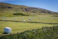 Field in Iceland