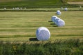 Field in Iceland