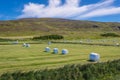 Field in Iceland