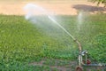 Field irrigation