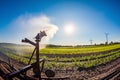 Field irrigation Royalty Free Stock Photo