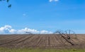 Field with irrigation system Royalty Free Stock Photo