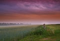 Field, landscape and clouds in nature, sunset or peace in morning with countryside tranquility. Freedom, zen and sunrise Royalty Free Stock Photo