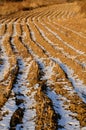 Field Landscapes in Winter Royalty Free Stock Photo