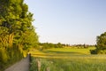 Field Lane In Warm Evening Light, Germany