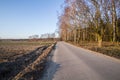 Field late autumn Royalty Free Stock Photo