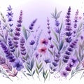 field lavender watercolor illustration, wild purple flowers Royalty Free Stock Photo